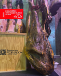 JAMÓN IBÉRICO DE BELLOTA 50% RAZA IBÉRICA DE 7,5 A 8 KG